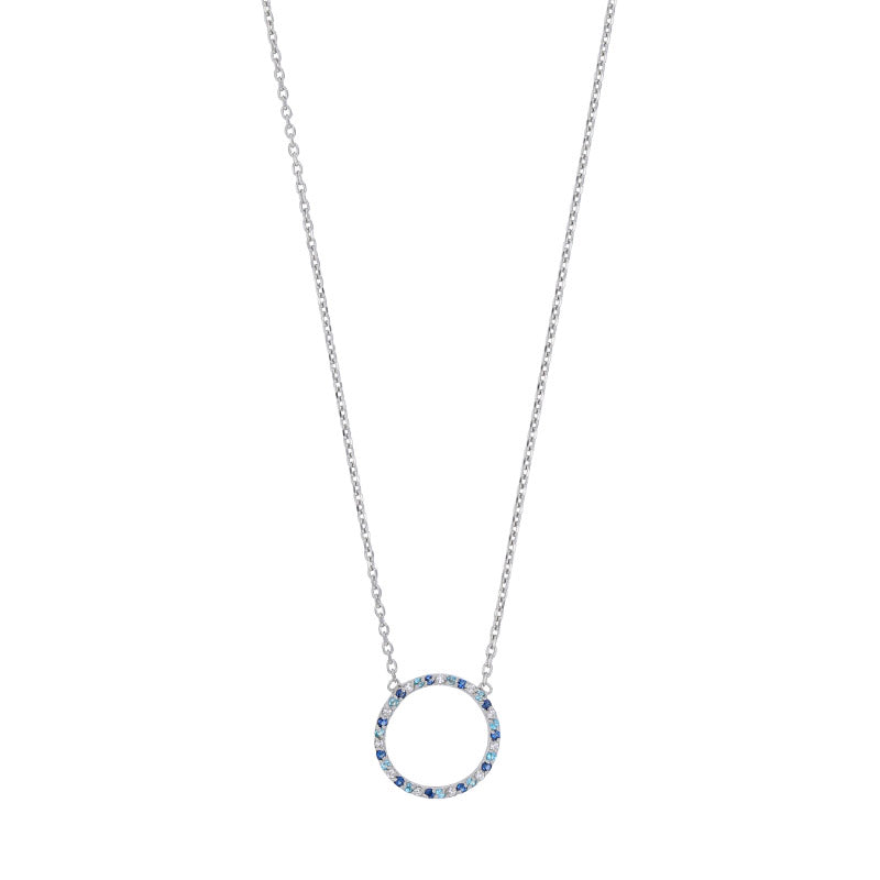 Collie Éclat de Couleurs